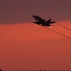 photo "Hornet on a red sky"