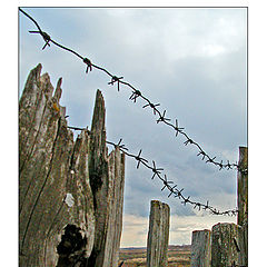 фото "Old fence"