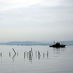 фото "Water and Sky"