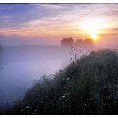 photo "Morning at the river..."