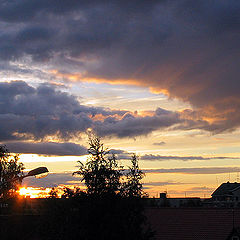 photo "Prepairing to change of light"