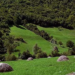 photo "hayfield"