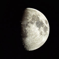 фото "Moon"