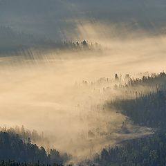 фото "Там за туманами"