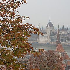 photo "Autumn`s coming"
