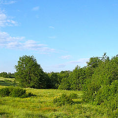 photo "Summer morning"