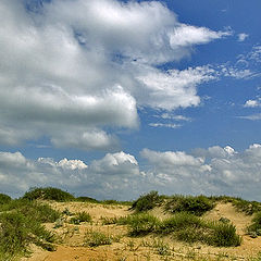 photo "Dunes"