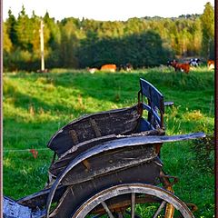 photo "Cart & Pasture"