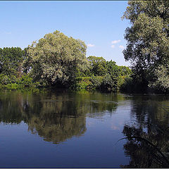 photo "etude about a summer..."