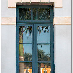 photo "window & tree"