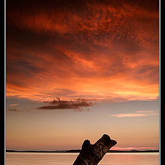 photo "Colors of September Evening"