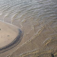 photo "Small slice of the Great river."