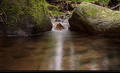 photo "... Mountain River ..."