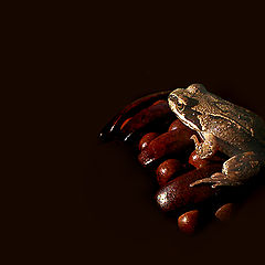 photo "Small frog"