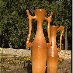 photo "Two jugs"