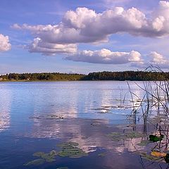 photo "clouds"