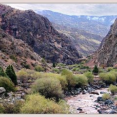 photo "Tajikistan. After rain."