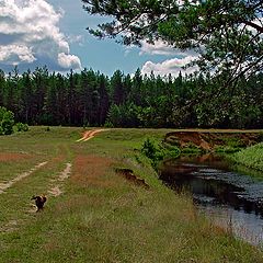 photo "Landscape with river, forest and running dog"