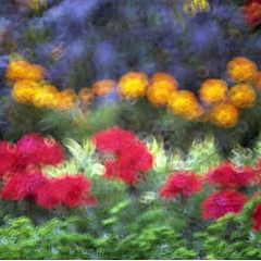 photo "Impression 1 at the NYBG"