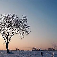 фото "Утро цвета зимы"