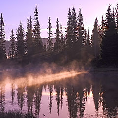 photo "The First Beam"