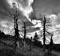 фото "Karkonosze"