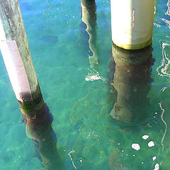 photo "dromana peer"