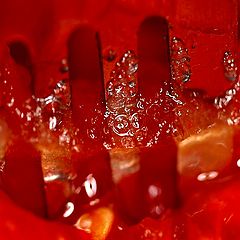 photo "Penetration."