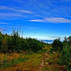 photo "On way to haven"