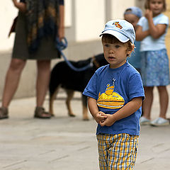 photo "the curious boy"