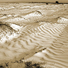 photo "Wind + sand + sunset light"