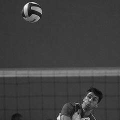 photo "The Serve (volleyball)"