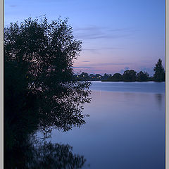 photo "Misterioso in blue"