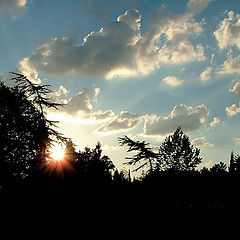 photo "Summer evening in Sochi"