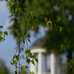 photo "Breath of coming autumn"