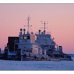 фото "розовые сны"