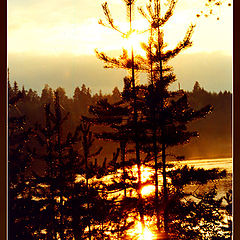 photo "Evening in Karelia"