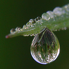 photo "Drop"