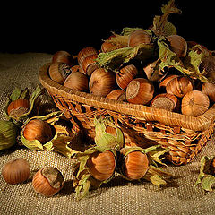 photo "Harvest"