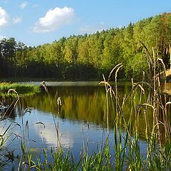 photo "Sunshine september landscape with lake"
