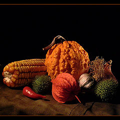 photo "still life with calabash"