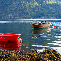 photo "Waiting for fishing"