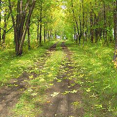 photo "Early autumn"