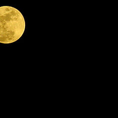 photo "Moon"