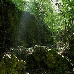 фото "свет"