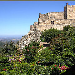 photo "Marv&#227;o"