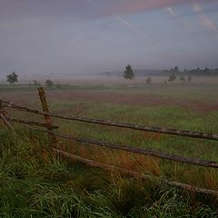 photo "morning paints"