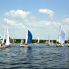 photo "Regatta"