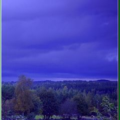 фото "Watery Autumn day"