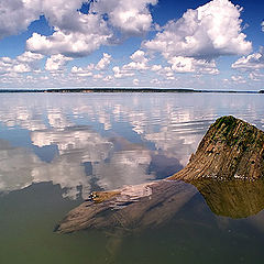 фото "Пень на просторе"